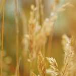 Making SEO improvements via Google Tag Manager