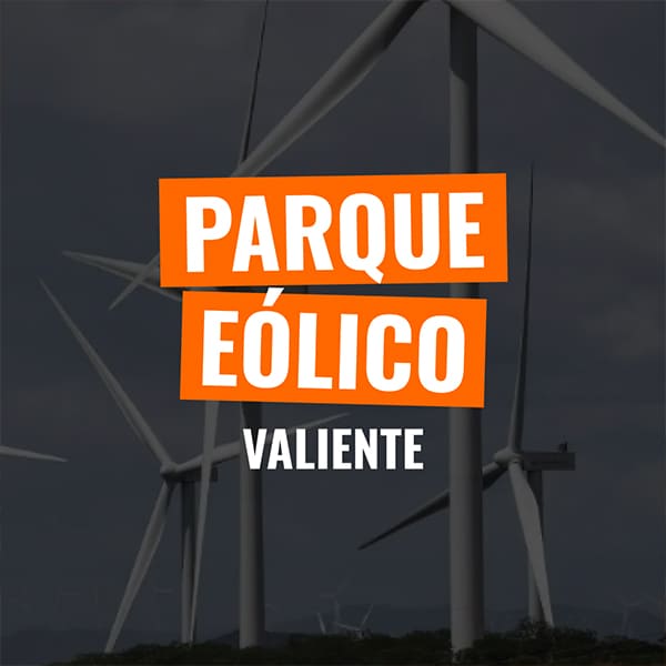 Infografía: Parque eólico