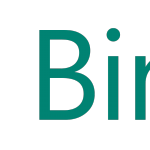 Bing Webmaster Tools, el gran olvidado