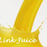 Uso del Link Juice para SEO